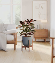 Load image into Gallery viewer, Iron Gray stand:walnut