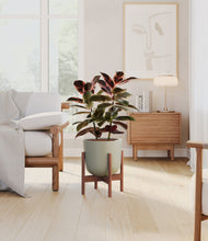 Load image into Gallery viewer, Sage Green stand:walnut