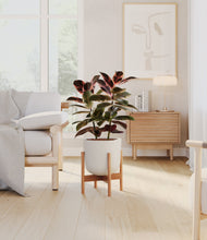 Load image into Gallery viewer, Natural Bamboo stand:bamboo