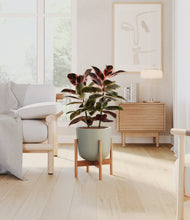 Load image into Gallery viewer, Sage Green stand:bamboo