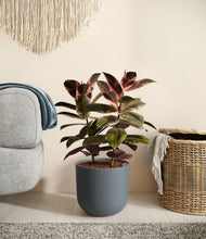 Load image into Gallery viewer, Iron Gray