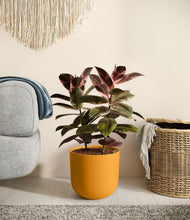 Load image into Gallery viewer, Sunset Orange