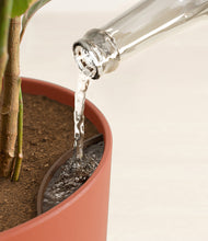 Load image into Gallery viewer, Earth Red stand:all