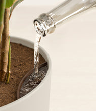 Load image into Gallery viewer, Natural Bamboo stand:all