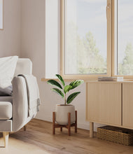 Load image into Gallery viewer, Eternal Gray stand:walnut