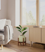 Load image into Gallery viewer, Turquoise stand:walnut
