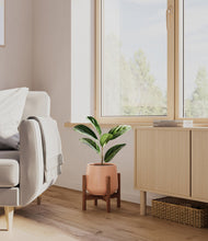 Load image into Gallery viewer, Calm Rose stand:walnut