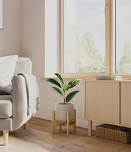 Load image into Gallery viewer, Eternal Gray stand:bamboo