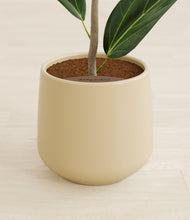 Load image into Gallery viewer, Almond Green stand:all