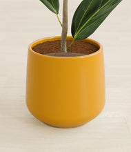 Load image into Gallery viewer, Mustard stand:all