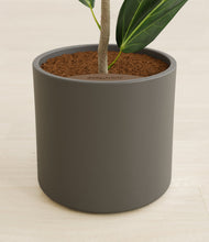 Load image into Gallery viewer, Dark Olive stand:all