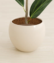 Load image into Gallery viewer, Shiny EggWhite stand:all