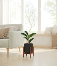 Load image into Gallery viewer, Black stand:walnut