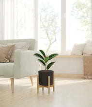 Load image into Gallery viewer, Black stand:bamboo