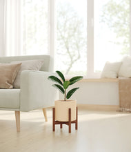 Load image into Gallery viewer, Cream stand:walnut
