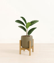 Load image into Gallery viewer, Olive stand:bamboo