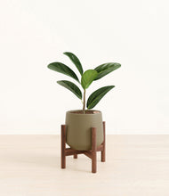 Load image into Gallery viewer, Olive stand:walnut