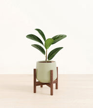 Load image into Gallery viewer, Turquoise stand:walnut