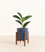 Load image into Gallery viewer, Deep Navy stand:walnut