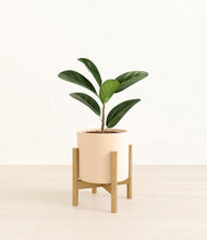 Load image into Gallery viewer, Cream stand:bamboo