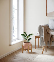 Load image into Gallery viewer, Calm Rose stand:bamboo