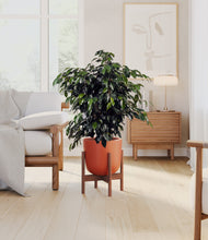 Charger l'image dans la galerie, Earth Red stand:dark