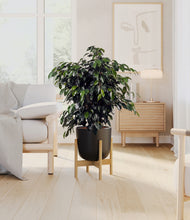 Charger l'image dans la galerie, Stone Black stand:light