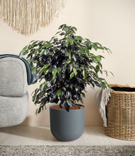 Charger l'image dans la galerie, Iron Gray stand:all