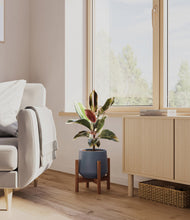 Load image into Gallery viewer, Deep Navy stand:walnut