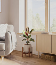 Load image into Gallery viewer, Eternal Gray stand:bamboo