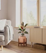 Load image into Gallery viewer, Calm Rose stand:walnut