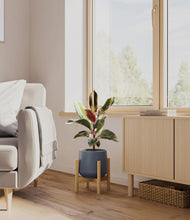 Load image into Gallery viewer, Deep Navy stand:bamboo