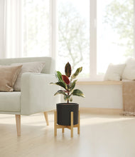 Load image into Gallery viewer, Black stand:bamboo
