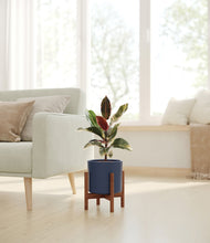 Load image into Gallery viewer, Deep Navy stand:walnut