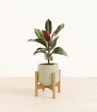 Load image into Gallery viewer, Turquoise stand:bamboo