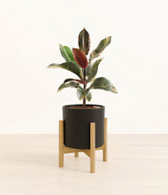 Load image into Gallery viewer, Black stand:bamboo
