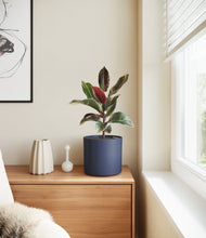 Load image into Gallery viewer, Deep Navy