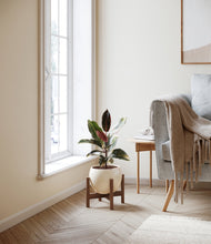 Load image into Gallery viewer, Shiny EggWhite stand:walnut