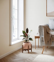 Load image into Gallery viewer, Calm Rose stand:walnut