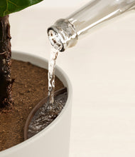 Load image into Gallery viewer, Midnight Moon stand:all