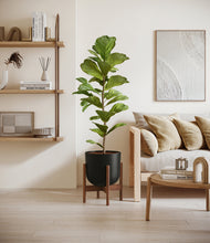 Load image into Gallery viewer, Stone Black stand:walnut