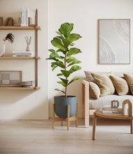 Load image into Gallery viewer, Iron Gray stand:bamboo