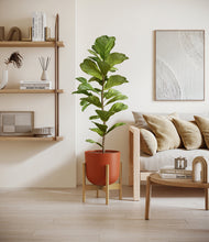 Load image into Gallery viewer, Earth Red stand:bamboo