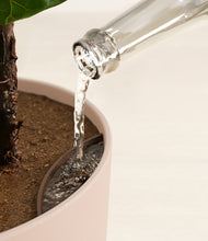 Load image into Gallery viewer, Desert stand:all