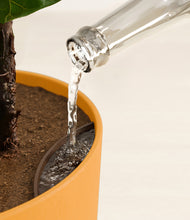 Load image into Gallery viewer, Sunset stand:all