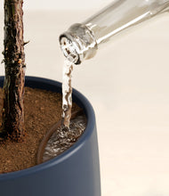 Load image into Gallery viewer, Deep Navy stand:all