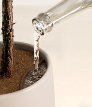 Load image into Gallery viewer, Eternal Gray stand:all