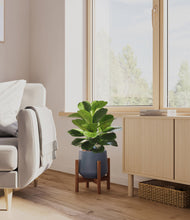 Load image into Gallery viewer, Deep Navy stand:walnut