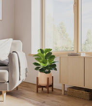 Load image into Gallery viewer, Gentle Pink stand:walnut