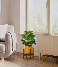 Load image into Gallery viewer, Mustard stand:walnut